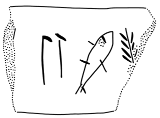 Tracing of PH 13c