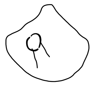 Tracing of PH Wc 37b