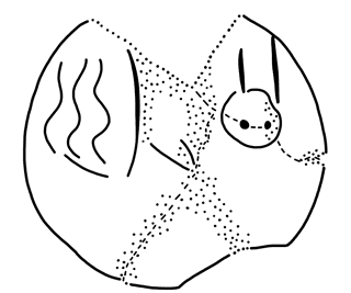 Tracing of PH Wc 38