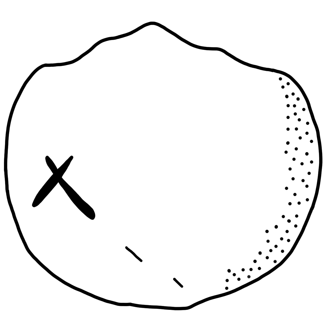Tracing of PH Wc 40b