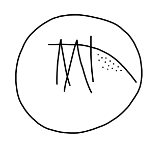 Tracing of PH Wc 42