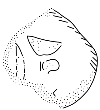 Tracing of PH Wc 45