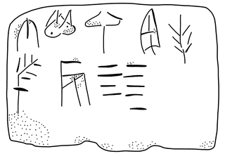Tracing of PYR 1