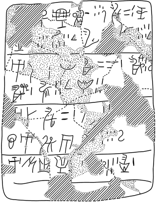 Tracing of TY 3a