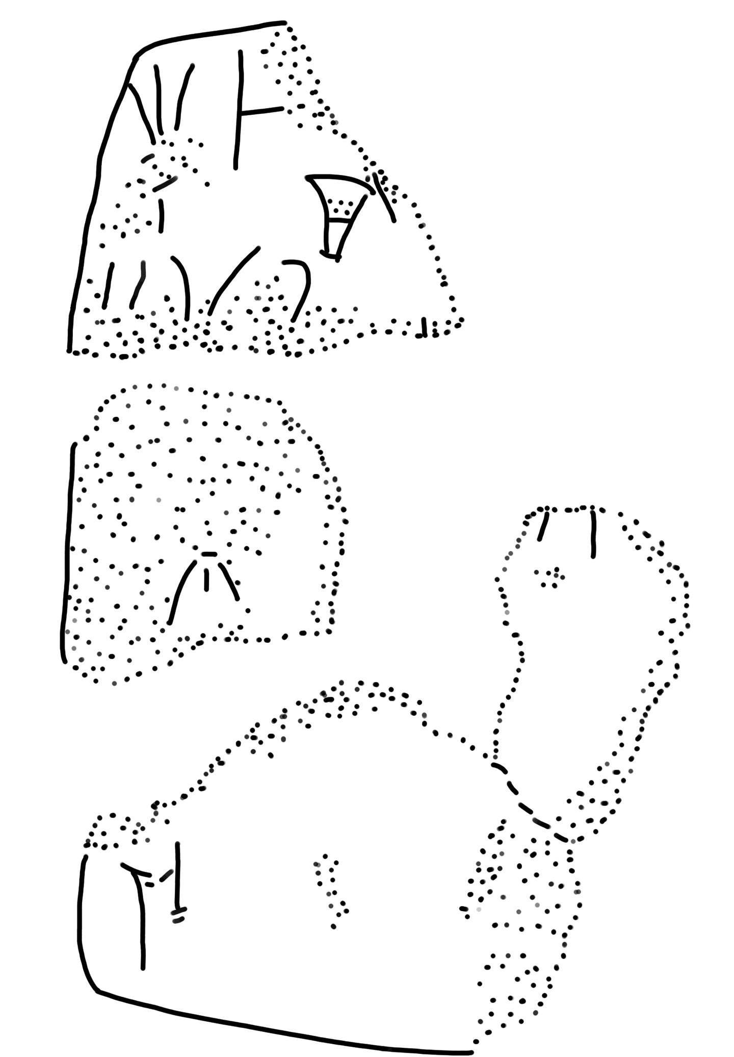 Tracing of ZA 21b