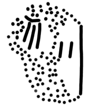 Tracing of ZA 31