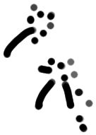 Sign ?, ARKH 4a, position 12