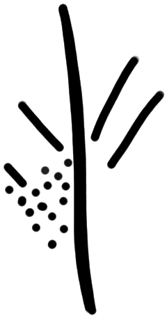Sign AB04 te, HT 4, position 10