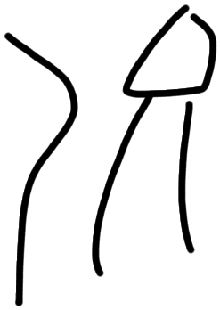 Sign AB51 du, HT Wa 1021α, position 2