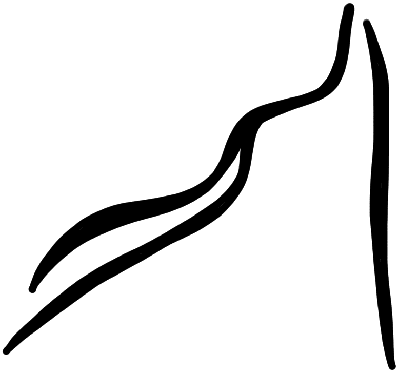 Sign A301, HT Wa 1764, position 1