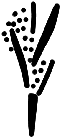 Sign AB04 te, MA 10b, position 3
