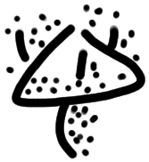 Sign A556, PH 3a, position 1